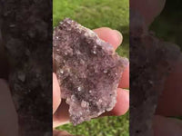 Amethyst from Alacam Mine, Turkey #13