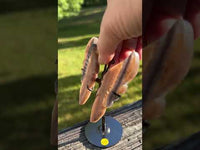 Fluorite Butterfly Wings & Stand #3