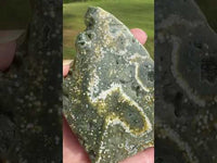 8th Vein Ocean Jasper Slab #6