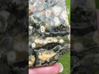 8th Vein Ocean Jasper Slab #33