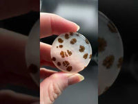Scenic Dendritic Agate Cabochon #11