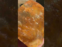 Savannah River Agate Specimen 1a