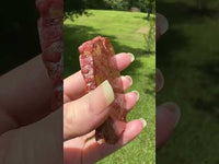 8th Vein Ocean Jasper Slab #75