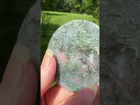 Moss Agate Polished Round Slice #1