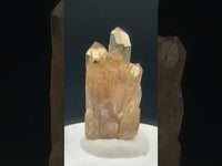 Natural Kundalini Citrine Lightbrary Crystal #14