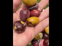 Mookaite Jasper Tumbles