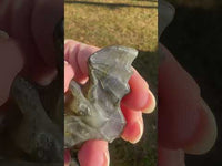 Carved Labradorite Bat