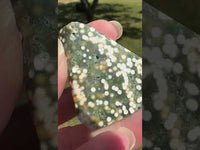 Ocean Jasper Free-form #3