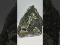 8th Vein Ocean Jasper Slab #9