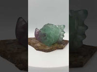 Fluorite Dragon Head Carving #5