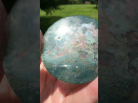 Moss Agate Polished Round Slice #20