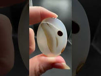Designer Dendritic Agate Cabochon #8