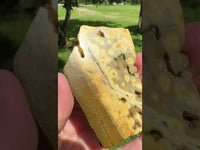 8th Vein Ocean Jasper Slab #111