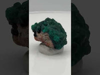 Green Dioptase from Republic of Congo Specimen #3