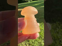 Peach Selenite Mushroom #8