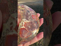 Money Agate Carved Moon #4