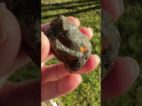Raw Amber Specimen #10