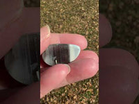 Owyhee Blue Opal Cabochon #46