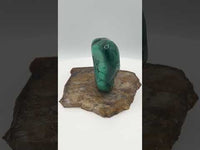 Polished Malachite Freeform #2 Zaire, Africa