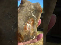 Savannah River Agate Specimen 1f