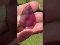 Pear Shape Candy Fluorite Cabochon #15