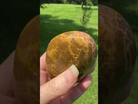 Large Ocean Jasper Palm Stone