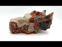 Unique Pudding Stone Dragon Head Carving