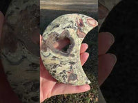 Money Agate Carved Moon #3