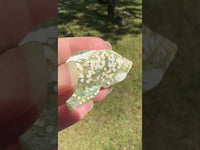 Ocean Jasper Free-form #4