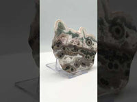 One of a Kind Bunny Shaped 8th Vein Ocean Jasper Slab #2