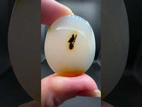 Designer Dendritic Agate Cabochon #10