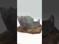 Fluorite Dragon Head Carving #11