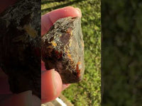 Raw Amber Specimen #8