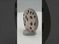 Scenic Dendritic Agate Cabochon #11