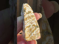 8th Vein Ocean Jasper Polished Free Form #5