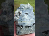 8th Vein Ocean Jasper Slab #5
