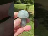Colorful Fluorite Mushroom Carving #3