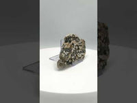 8th Vein Ocean Jasper Slab #30