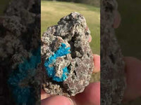 Cavansite, Wagholi, Pune, Maharashtra, India