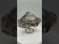 Dendritic Opal Slab