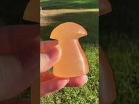 Peach Selenite Mushroom #10