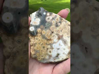 8th Vein Ocean Jasper Slab #58