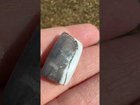 Owyhee Blue Opal Cabochon #45