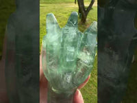Fluorite Dragon Head Carving #23