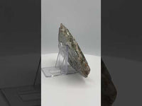 8th Vein Ocean Jasper Slab #8