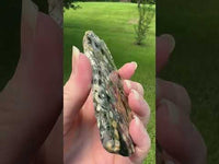 8th Vein Ocean Jasper Slab #92