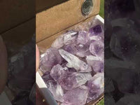 Amethyst Points Lot of 32