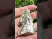 8th Vein Ocean Jasper Polished Free Form #32