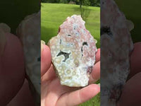 8th Vein Ocean Jasper Slab #73