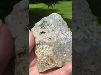 8th Vein Ocean Jasper Slab #47